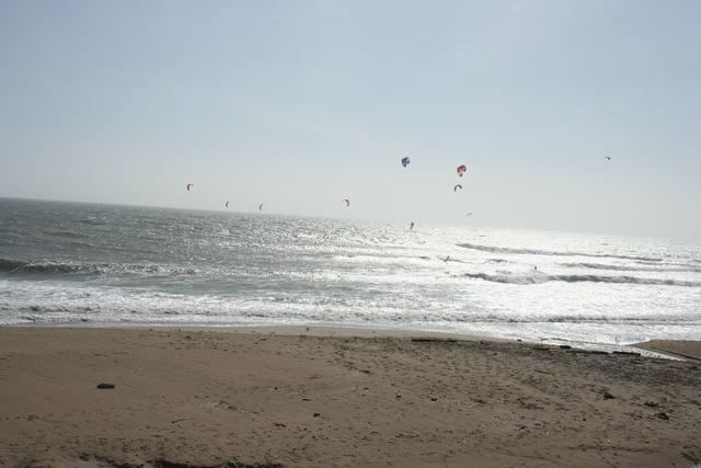 IMG_2790