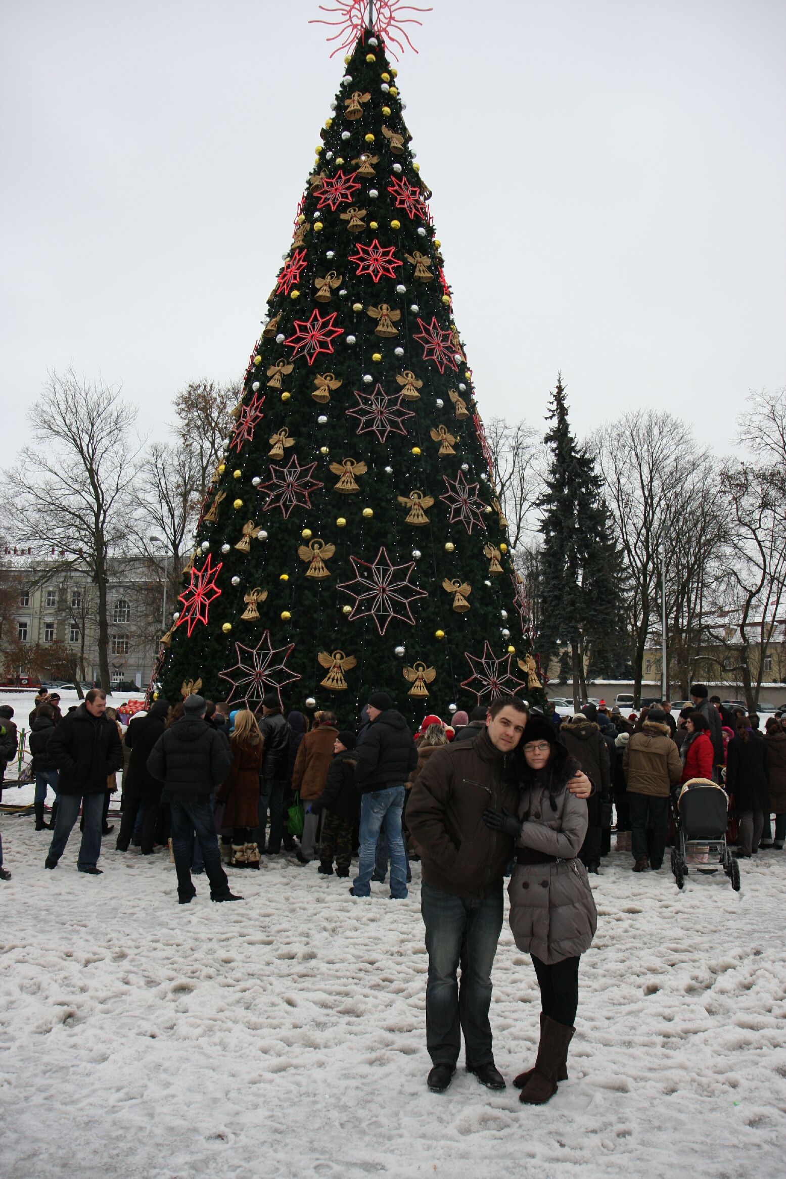 Prie Vilniaus eglutės