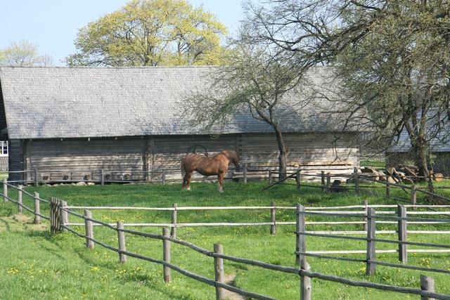 Gali nebent iš kvapo užuosti