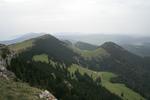 IMG_7584.jpg