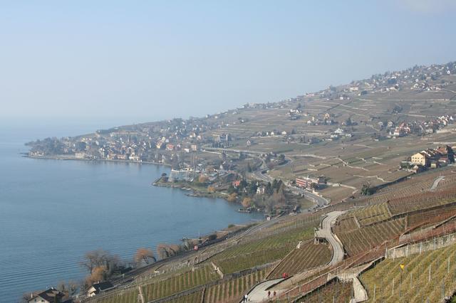 Lac Leman & Lavaux terasos